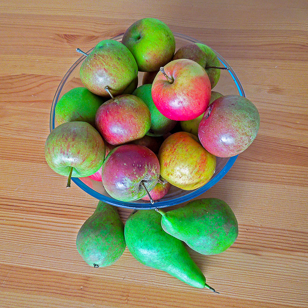 Last Harvest.jpg