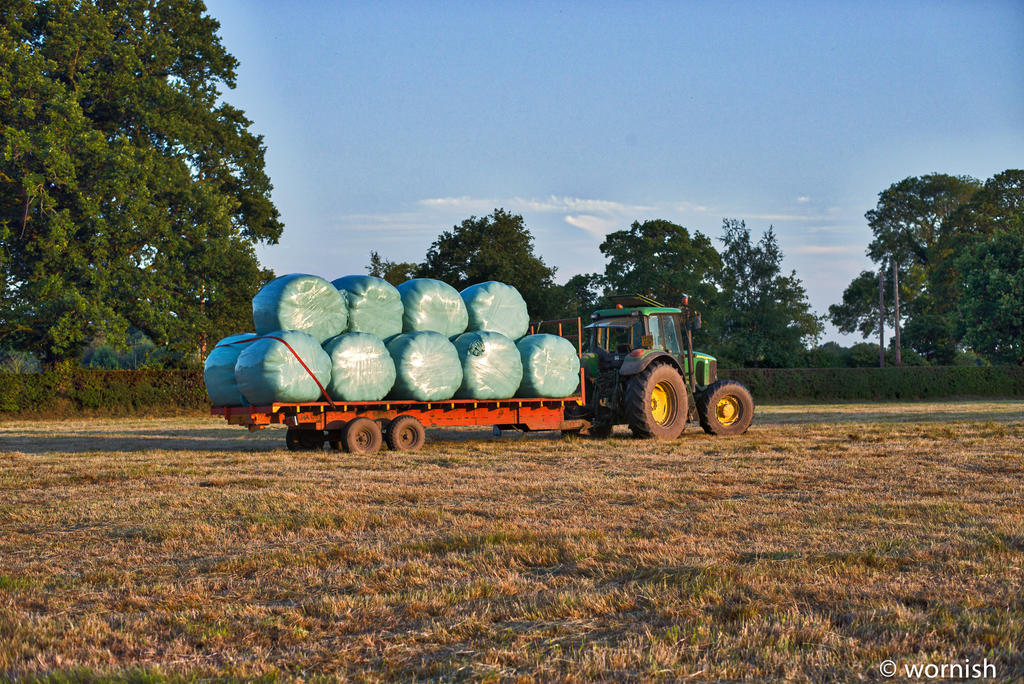 last load.jpg