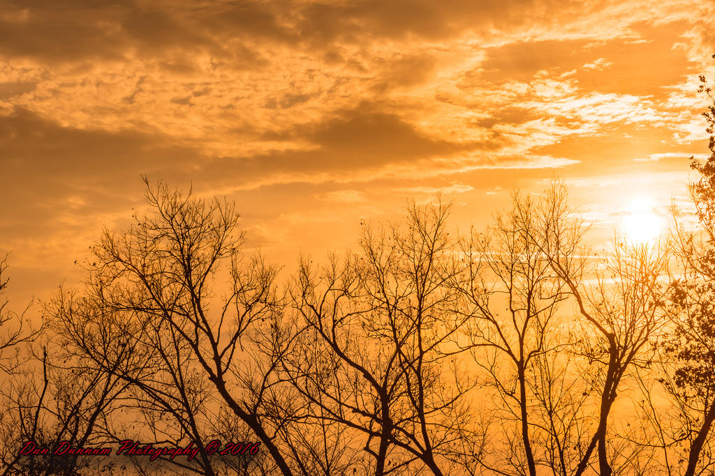 Late afternoon-6664.jpg