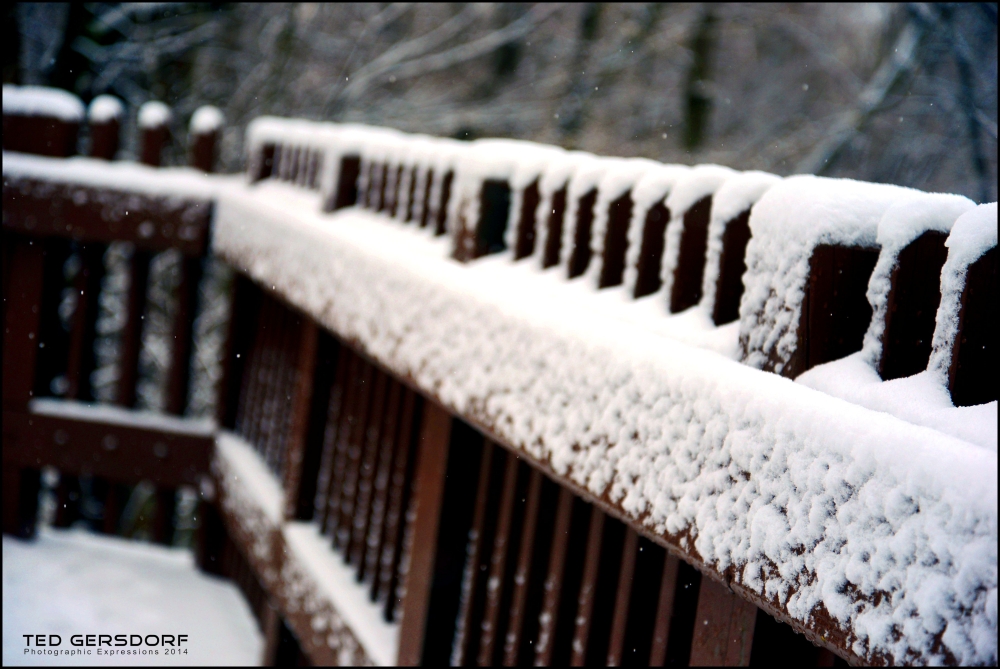 Late Snow Post 4_325.JPG