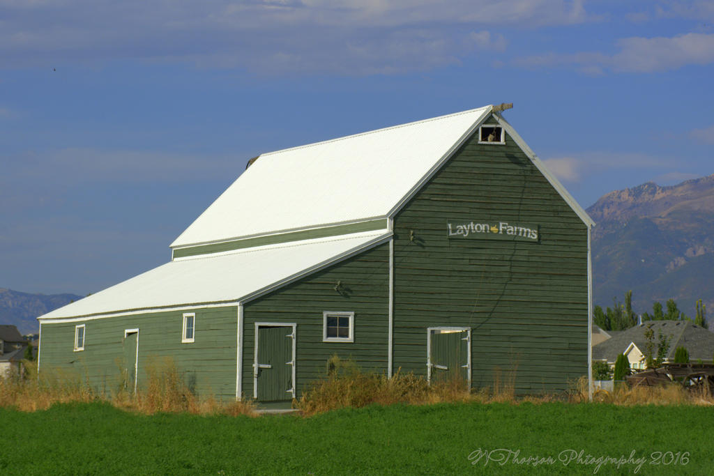 Layton Farms Barn 8-31-2016.jpg