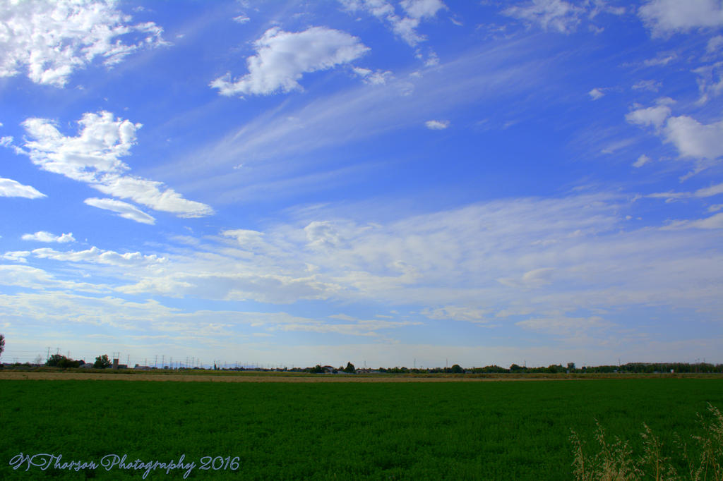 Layton Farms Field with Interesting Clouds  8-31-2016.jpg