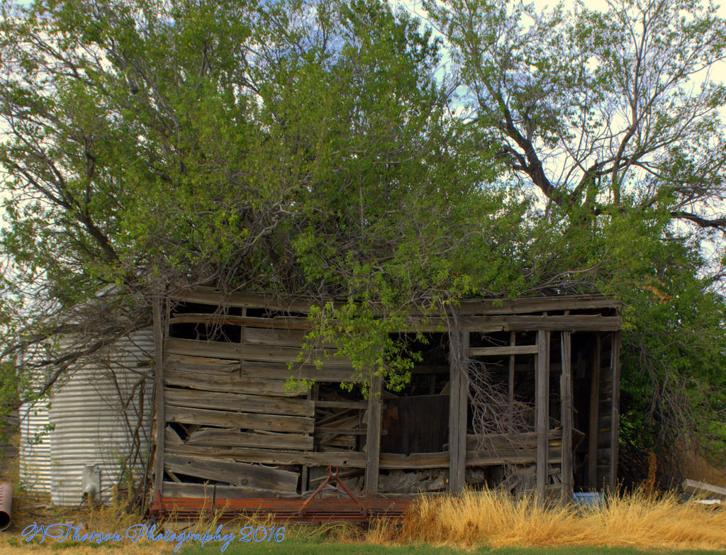 Layton Farms Outbuilding  #2 8-31-2016.jpg