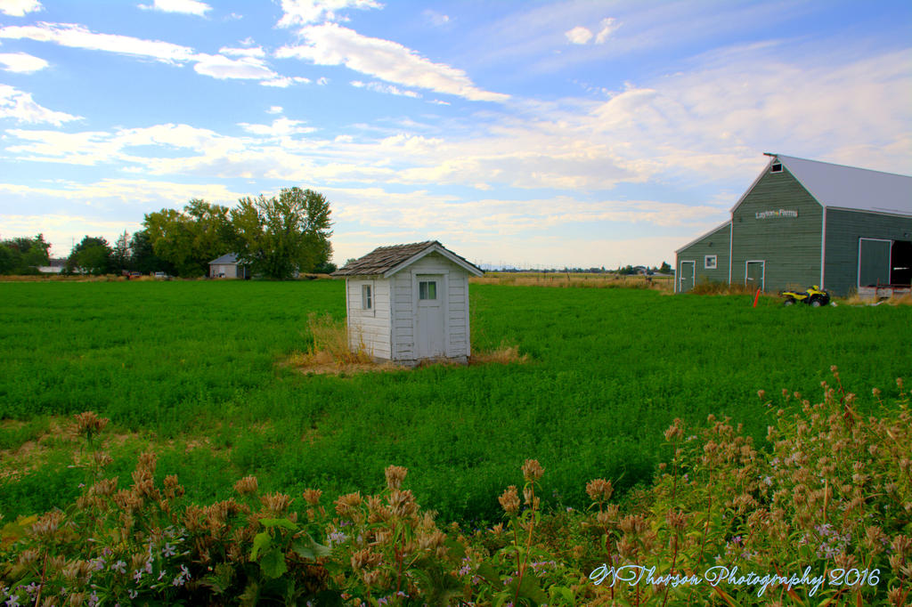 Layton Farms Pump House  8-31-2016.jpg