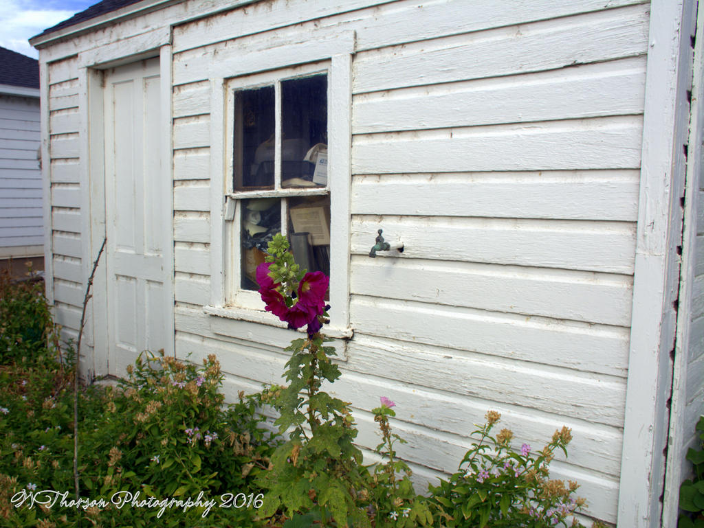 Layton Farms Shed  8-31-2016.jpg