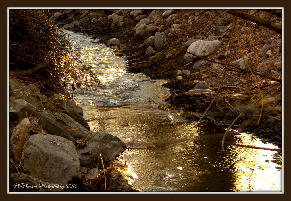 Layton Park Stream 2-25-2016.jpg