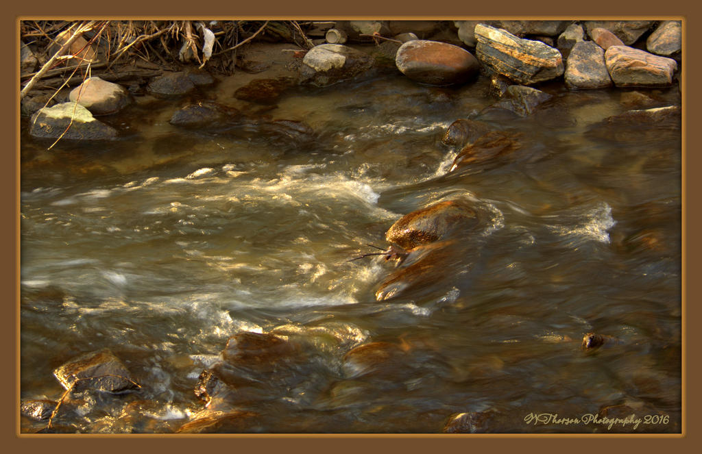 Layton Park Stream with Rocks 2-25-2016.jpg