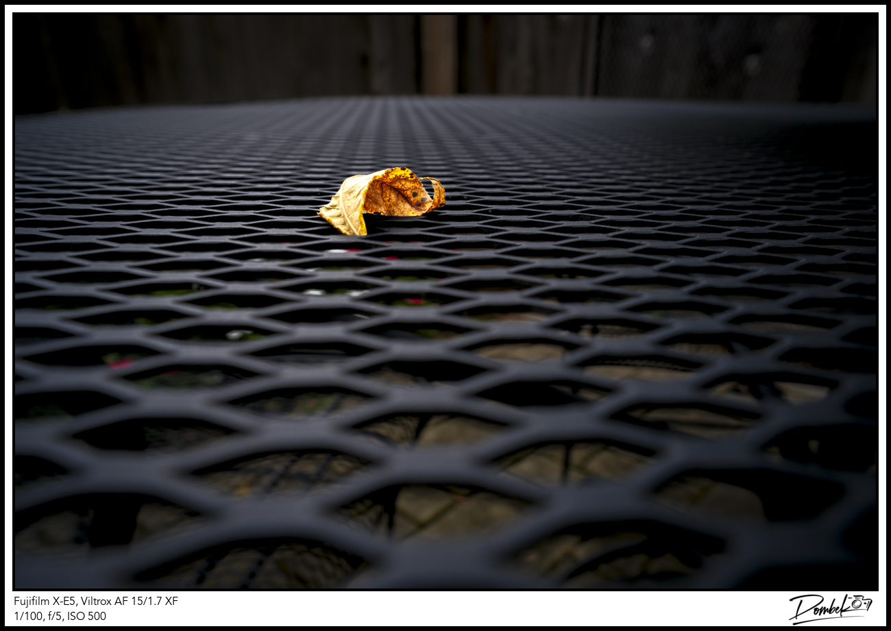 Leaf Me Alone.jpg