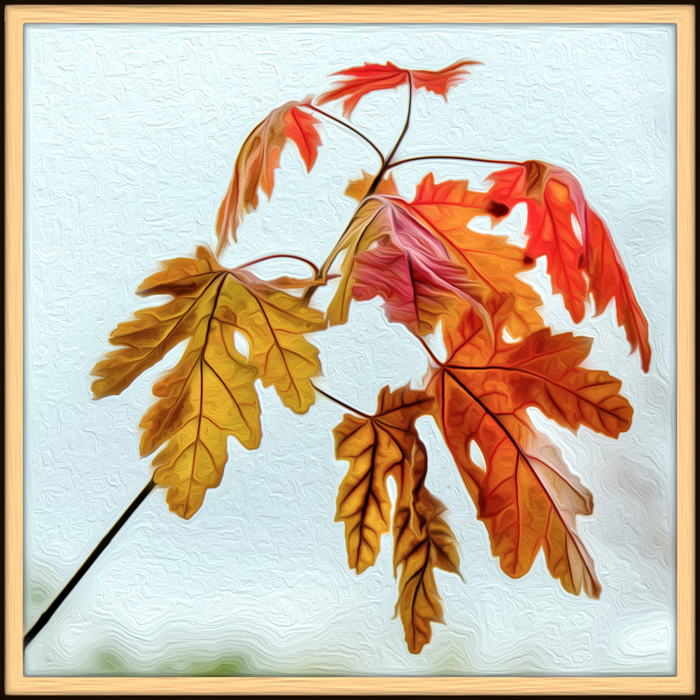 leaf2oil.jpg