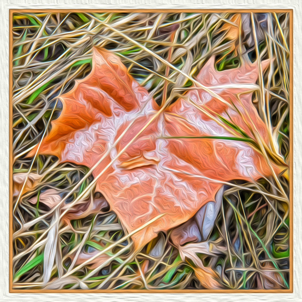 LEAFOIL.jpg