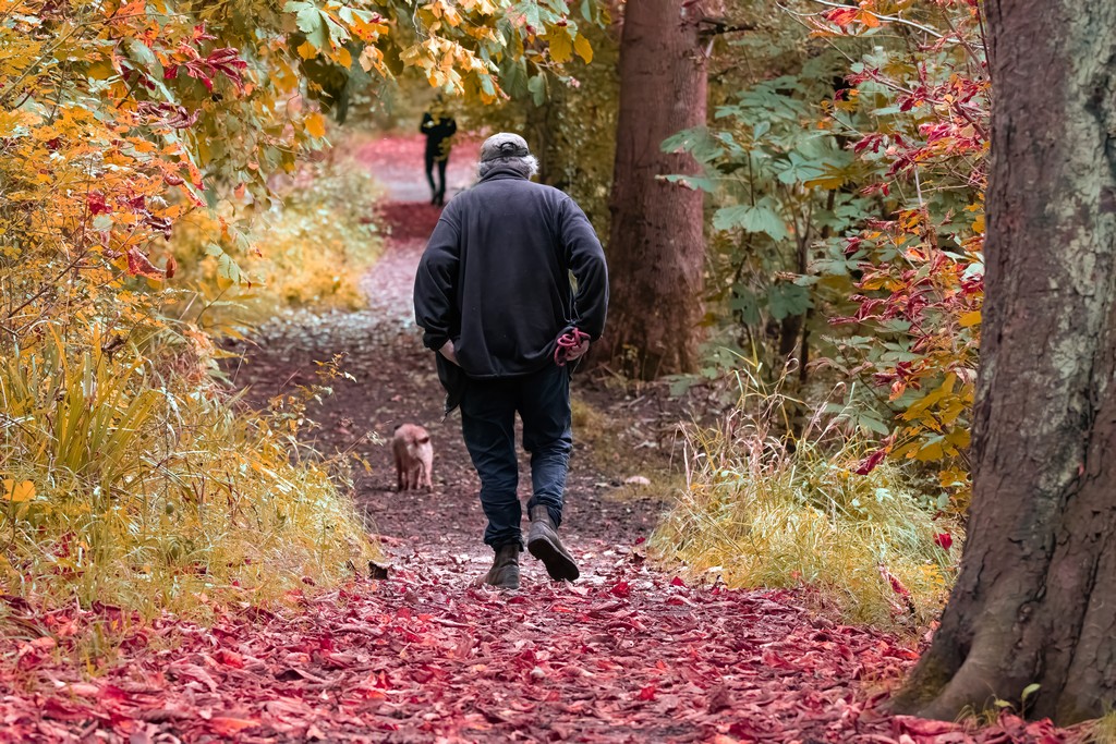 leaves-13.jpg