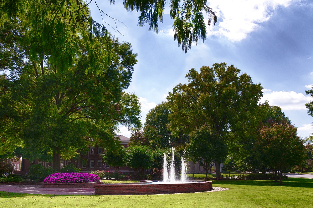 Lee University--2.jpg