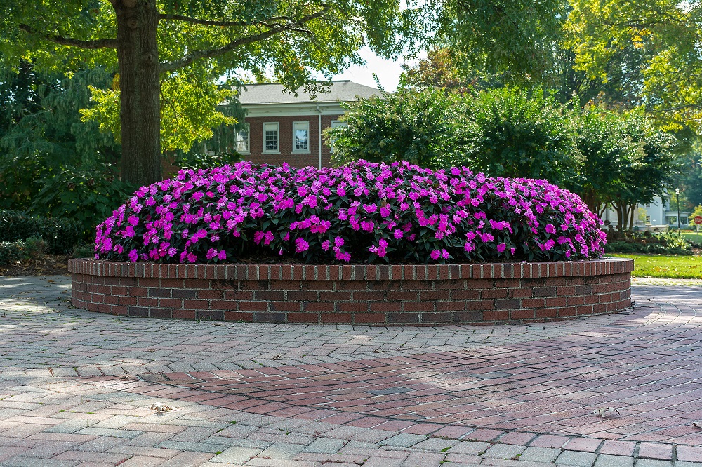 Lee University-2419.jpg