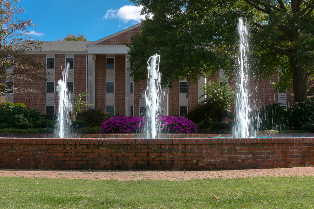 Lee University-.jpg