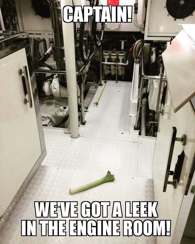 leek%20meme_zpsj8zyfhbb.jpg