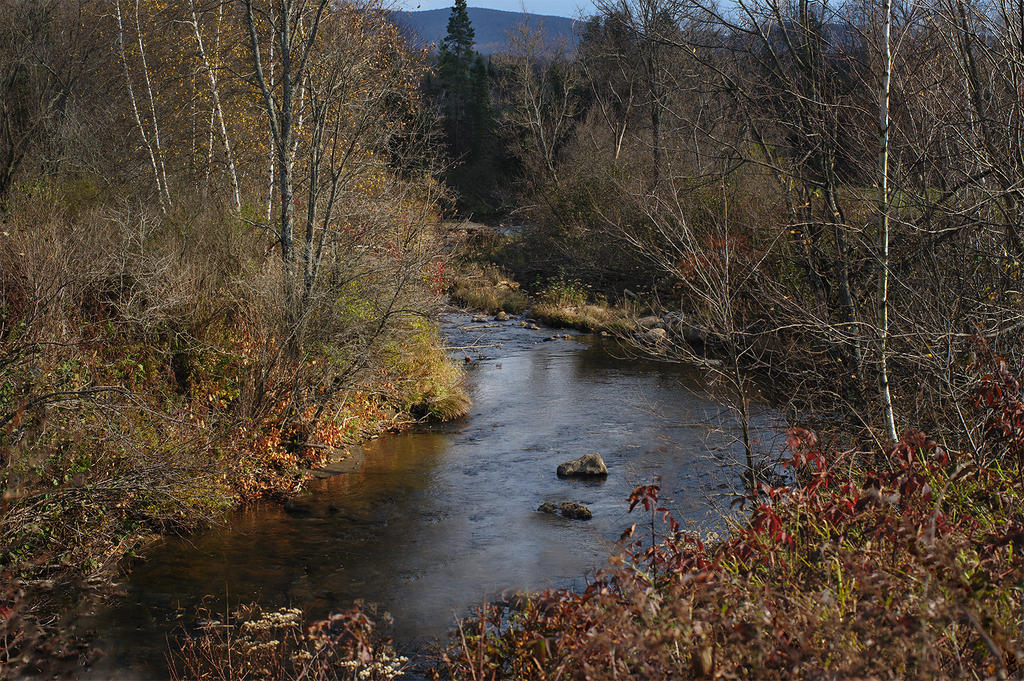 Les splendeurs de l'Estrie.jpg
