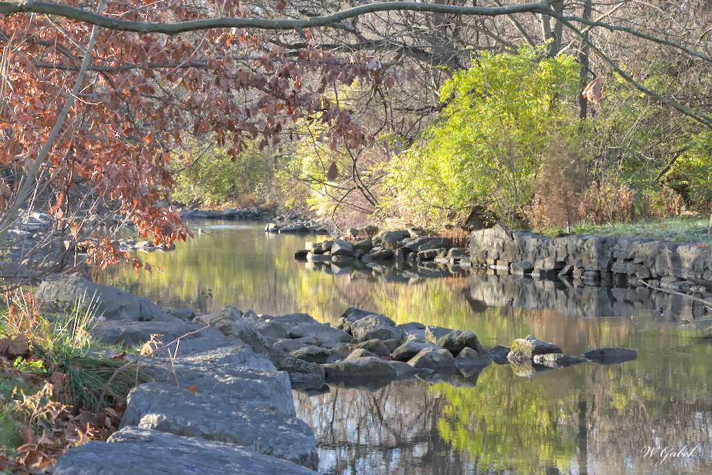 letort-carlisle-sm-jpg.398348