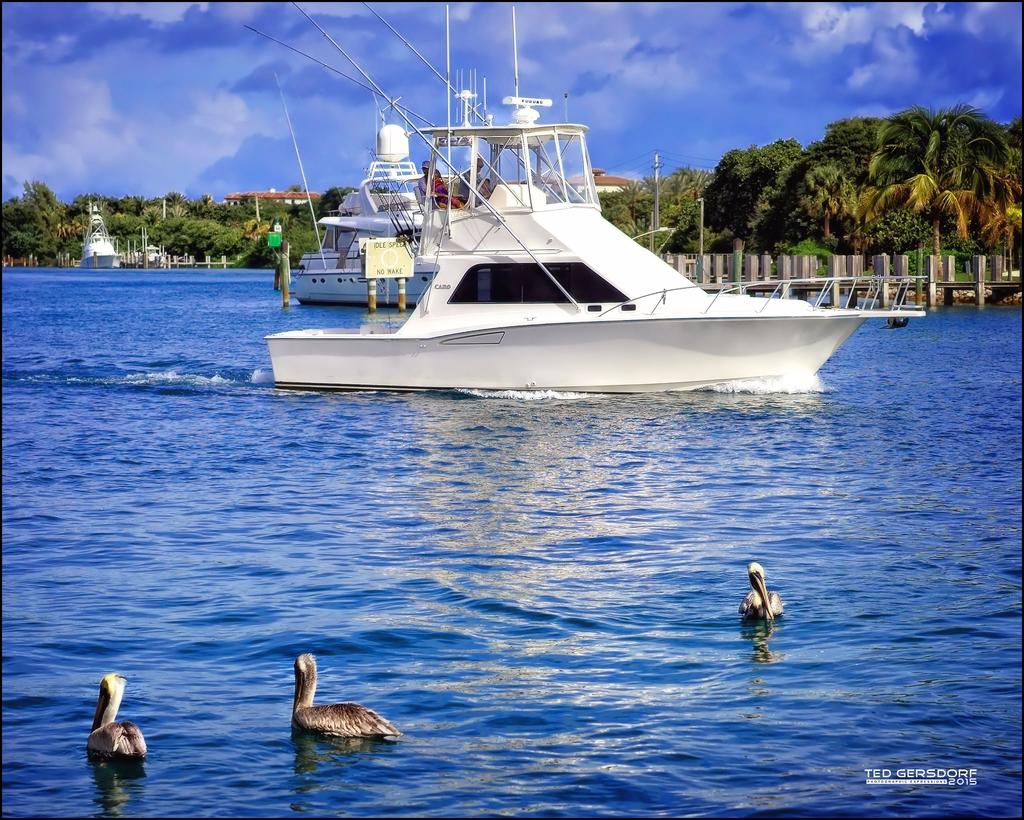 LHP  1-9-2015    40 copy1.jpg