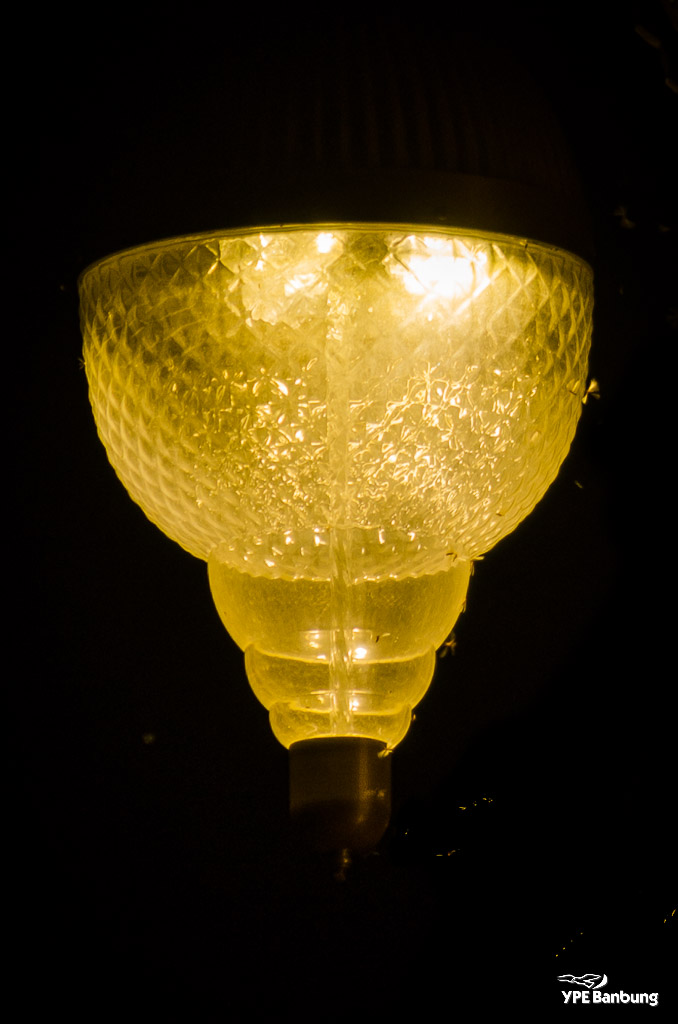 light-2.jpg