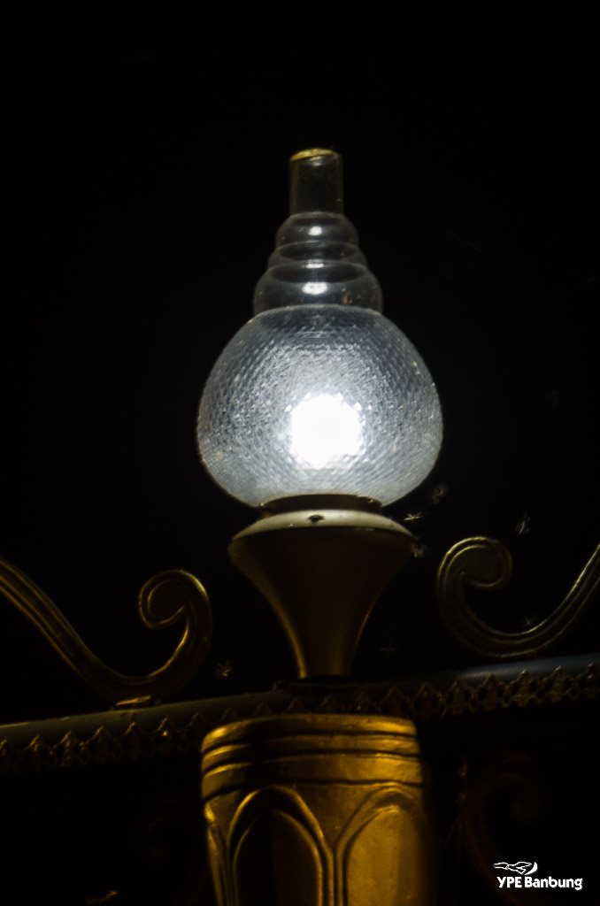 light-3.jpg