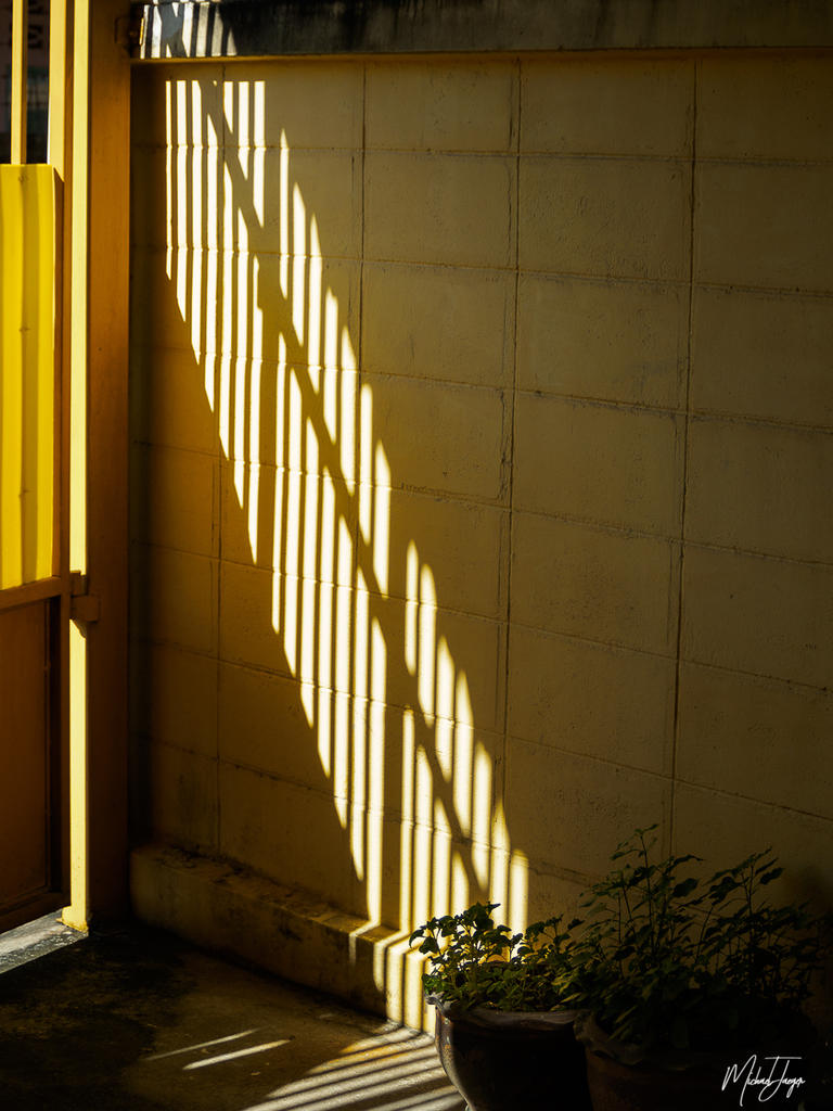 light-shadow-1.jpg