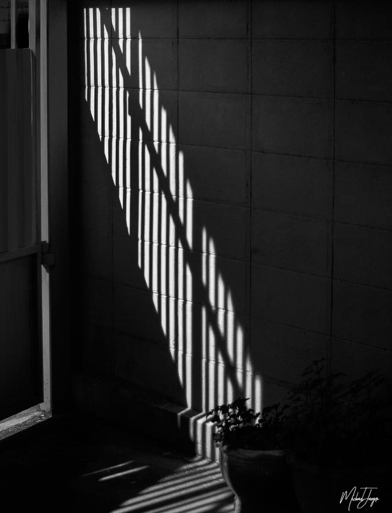 light-shadow-2.jpg