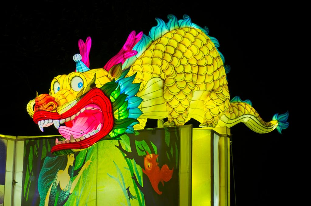Lightopia N 4.jpg