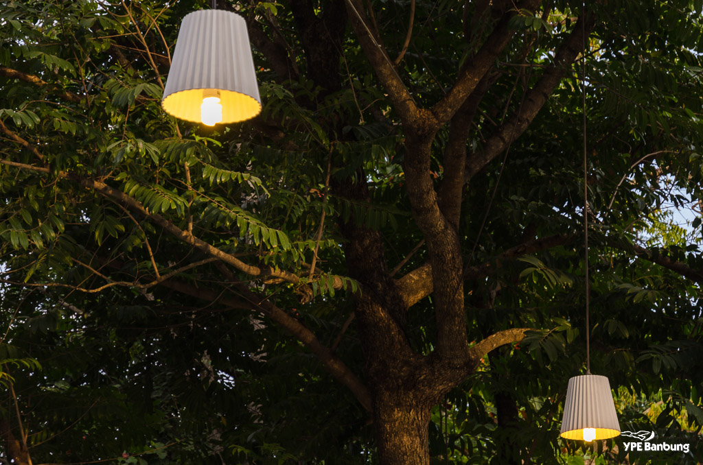 lights1-1.jpg