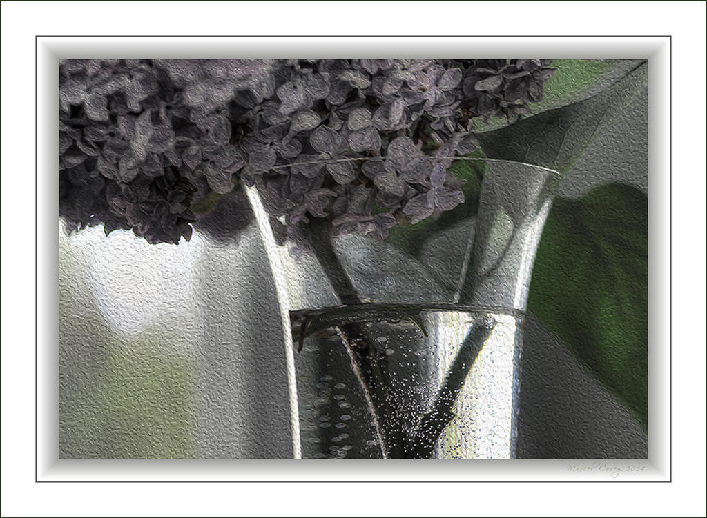 lilac.jpg