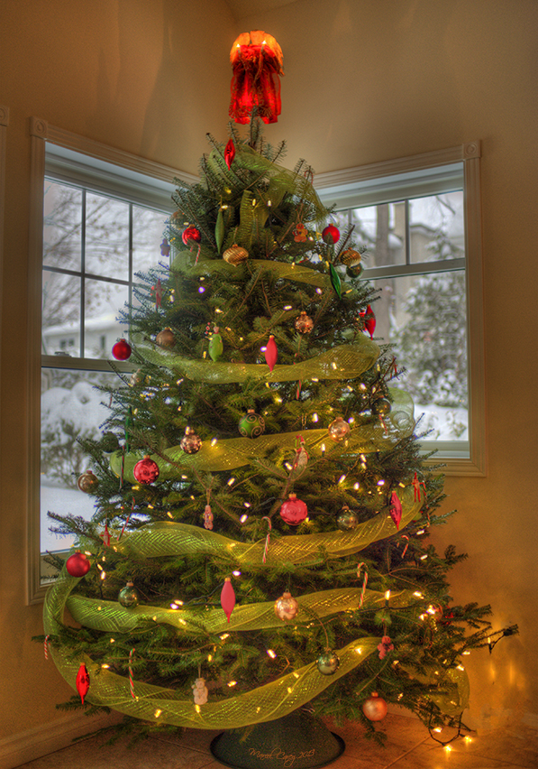 Line's Xmas tree.jpg