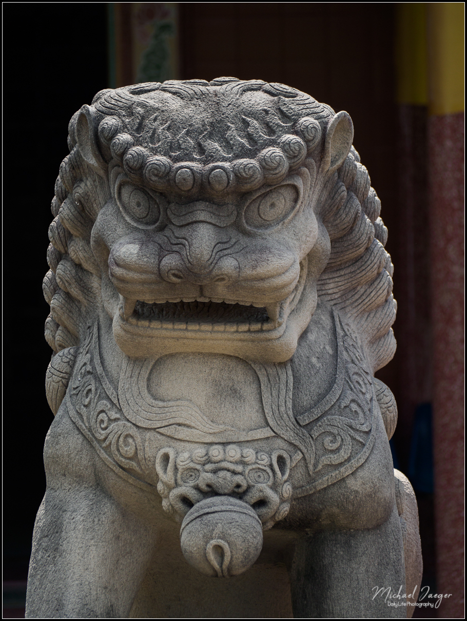 lion-1-2.jpg