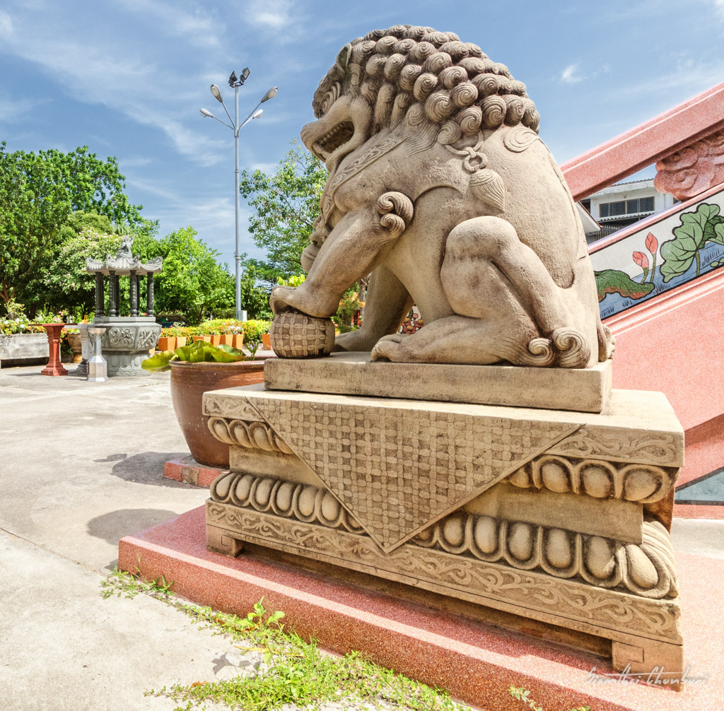 lion-1.jpg