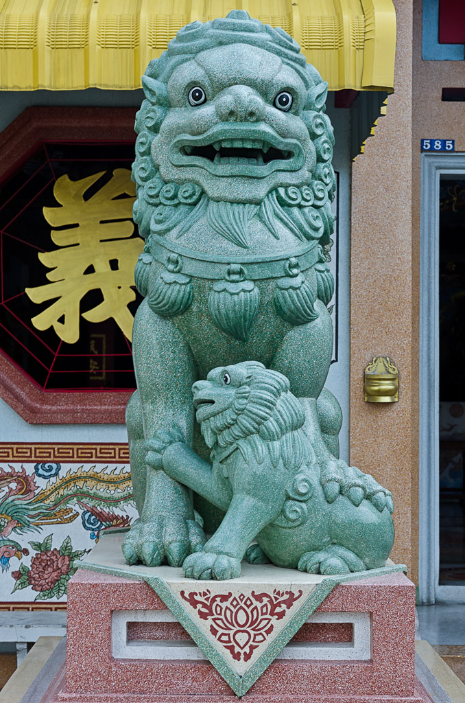 lion-cub-1.jpg