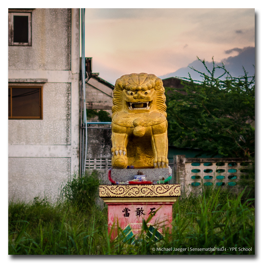 lion.jpg