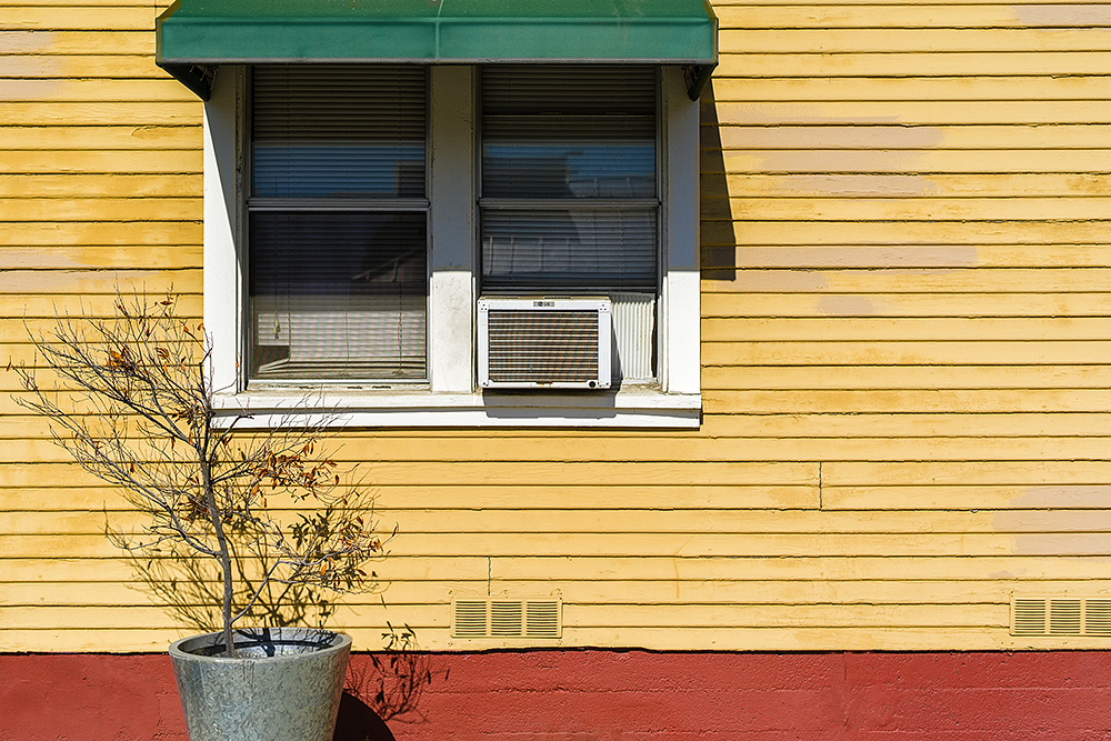 Local Color.jpg