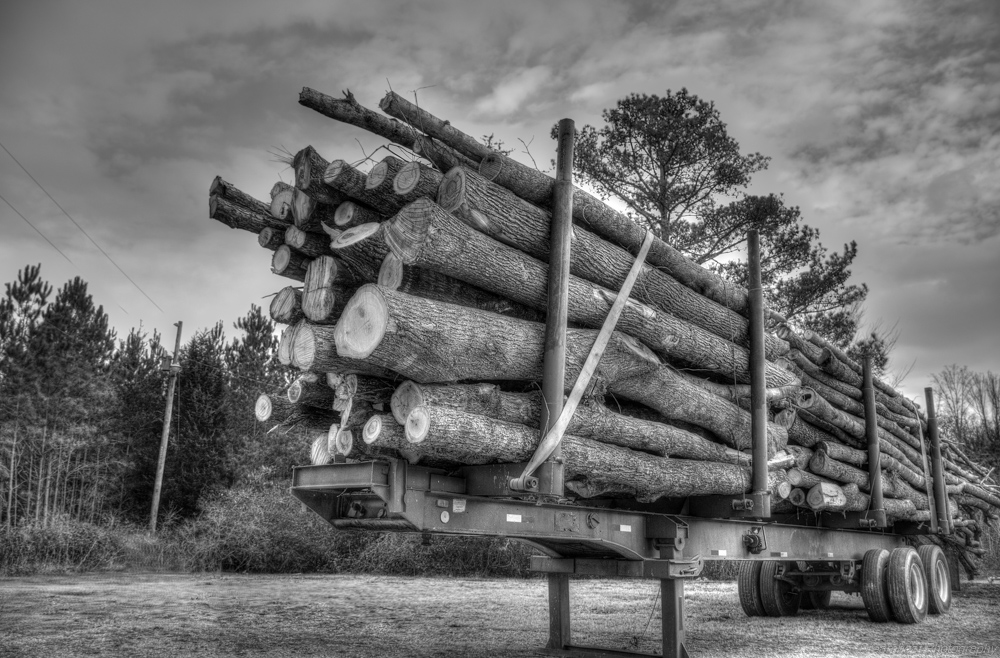 Log Trailer--2.jpg
