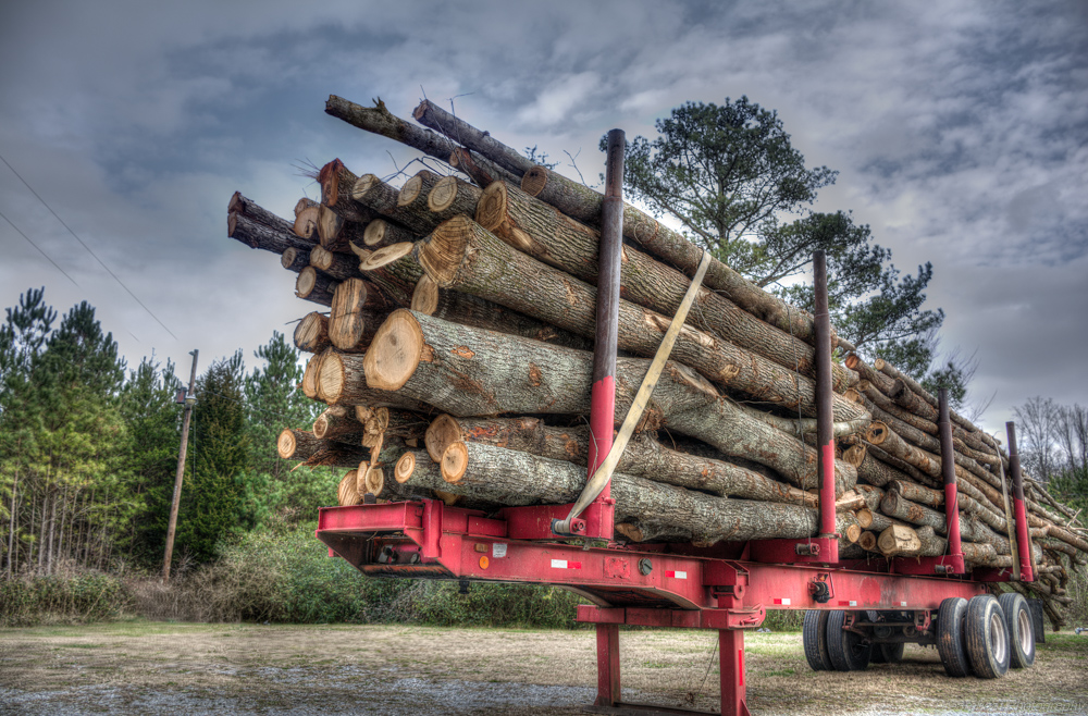 Log Trailer-.jpg