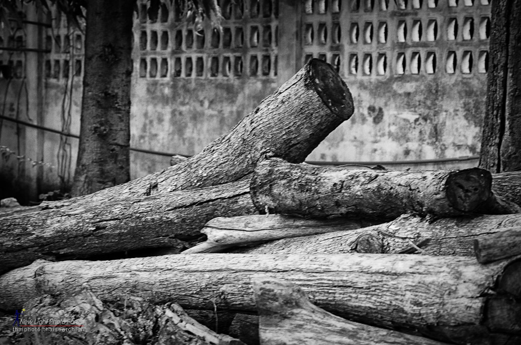 logs-1.jpg