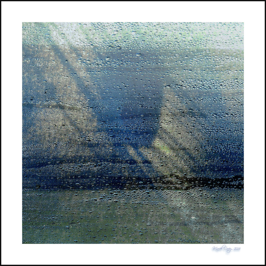 l'ombre de l'ombre.jpg