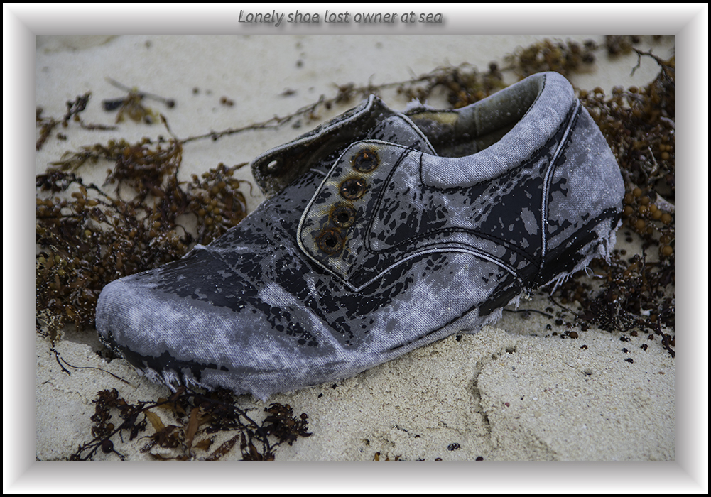 lonely shoe.jpg