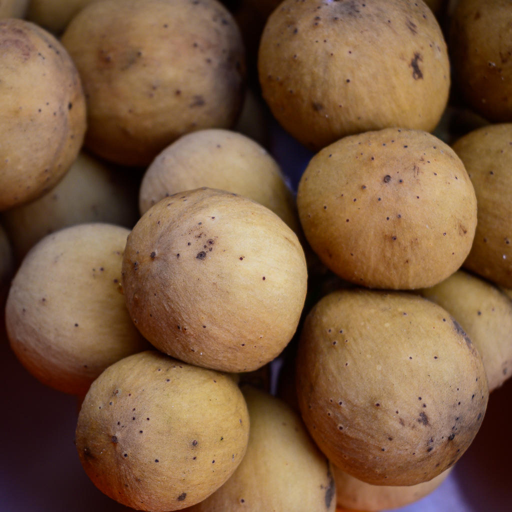 longan-1-2.jpg
