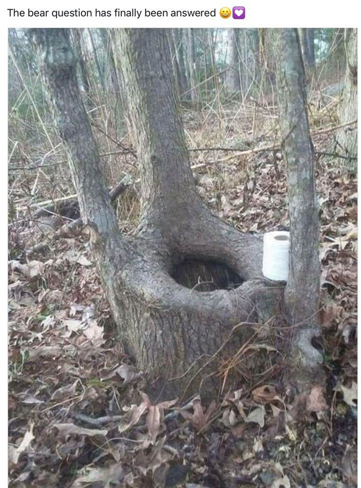 loo.jpg