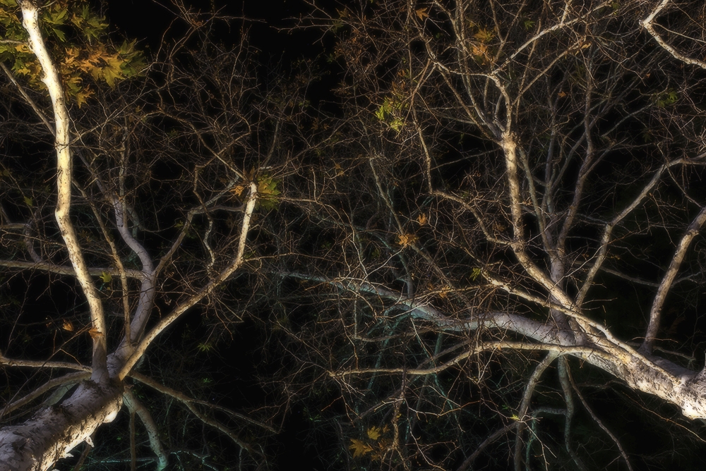 Look Out My Window and What Do I See.jpg