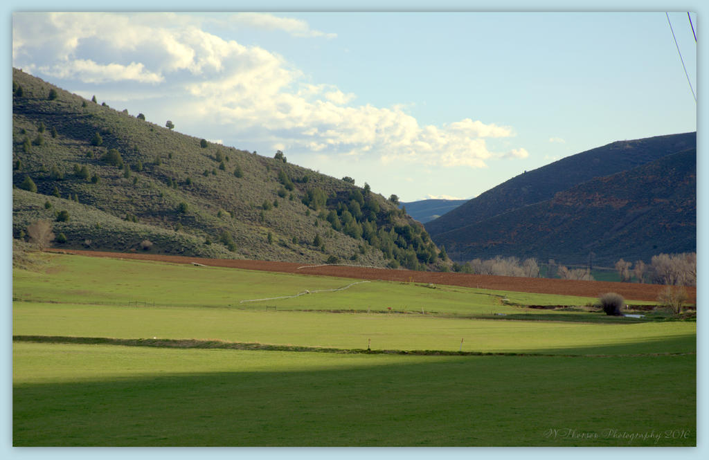 Lost Creek Meadow 4-16-2016.jpg