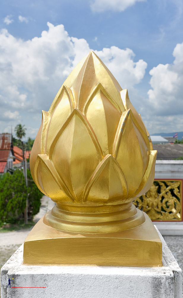 lotusbud.jpg