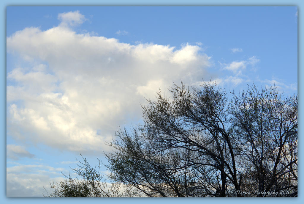 Lovely Morning Clouds 4-4-16.jpg