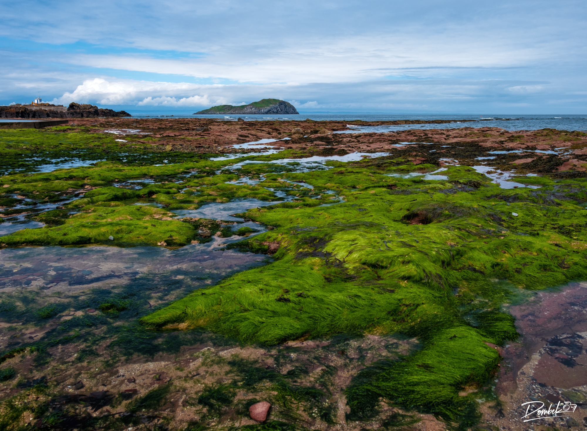 Low Tide.jpg