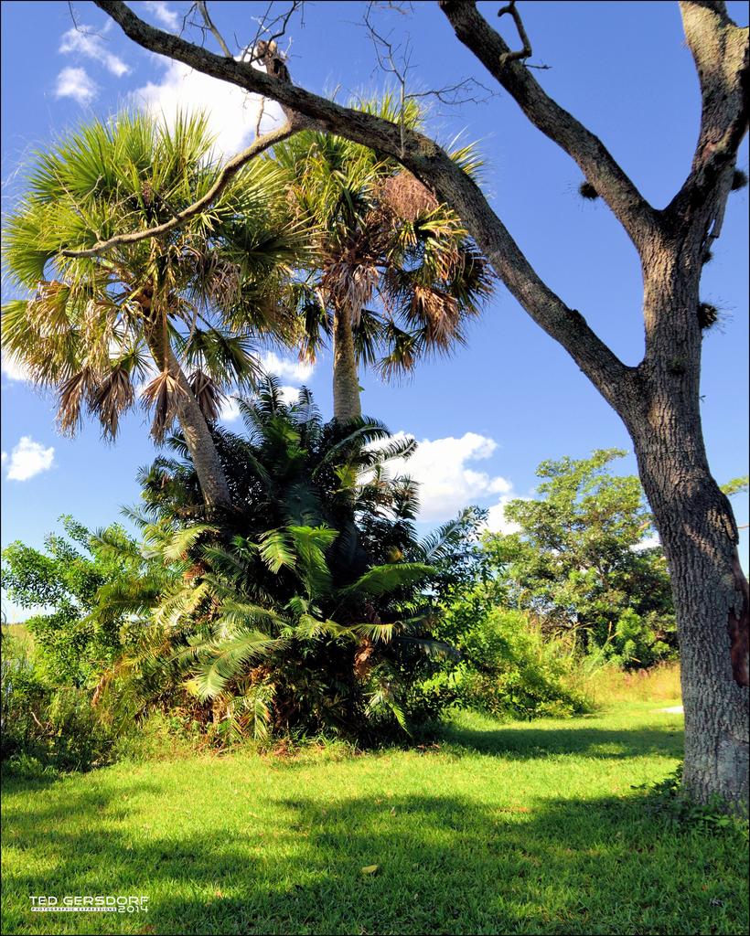 Loxahatchee 10-28-14    10.jpg