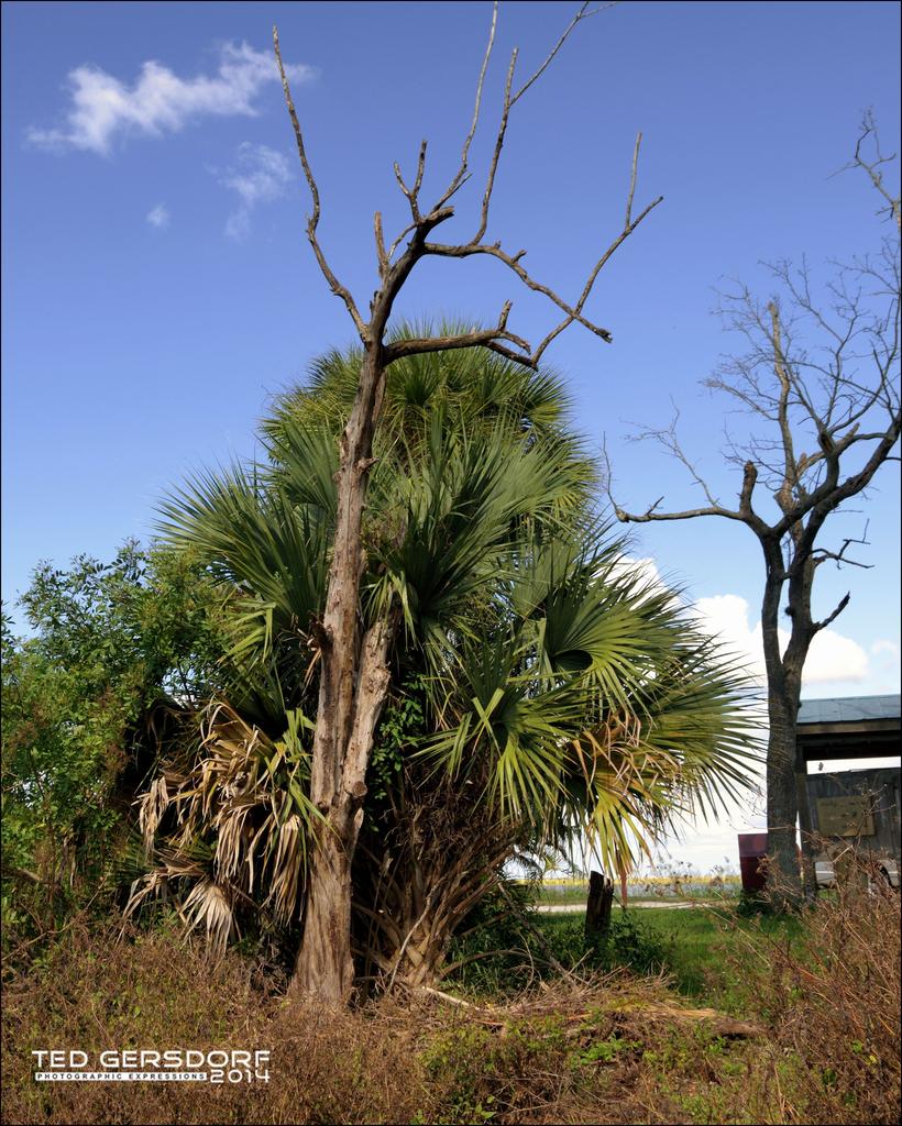 Loxahatchee 10-28-14    13.jpg