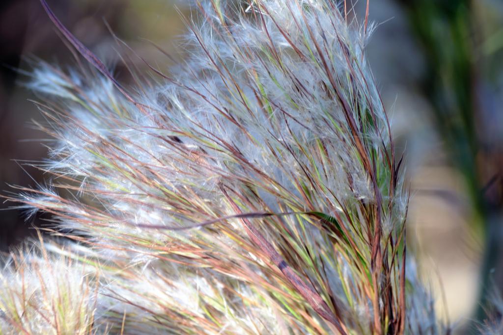 Loxahatchee 10-28-14    4.jpg